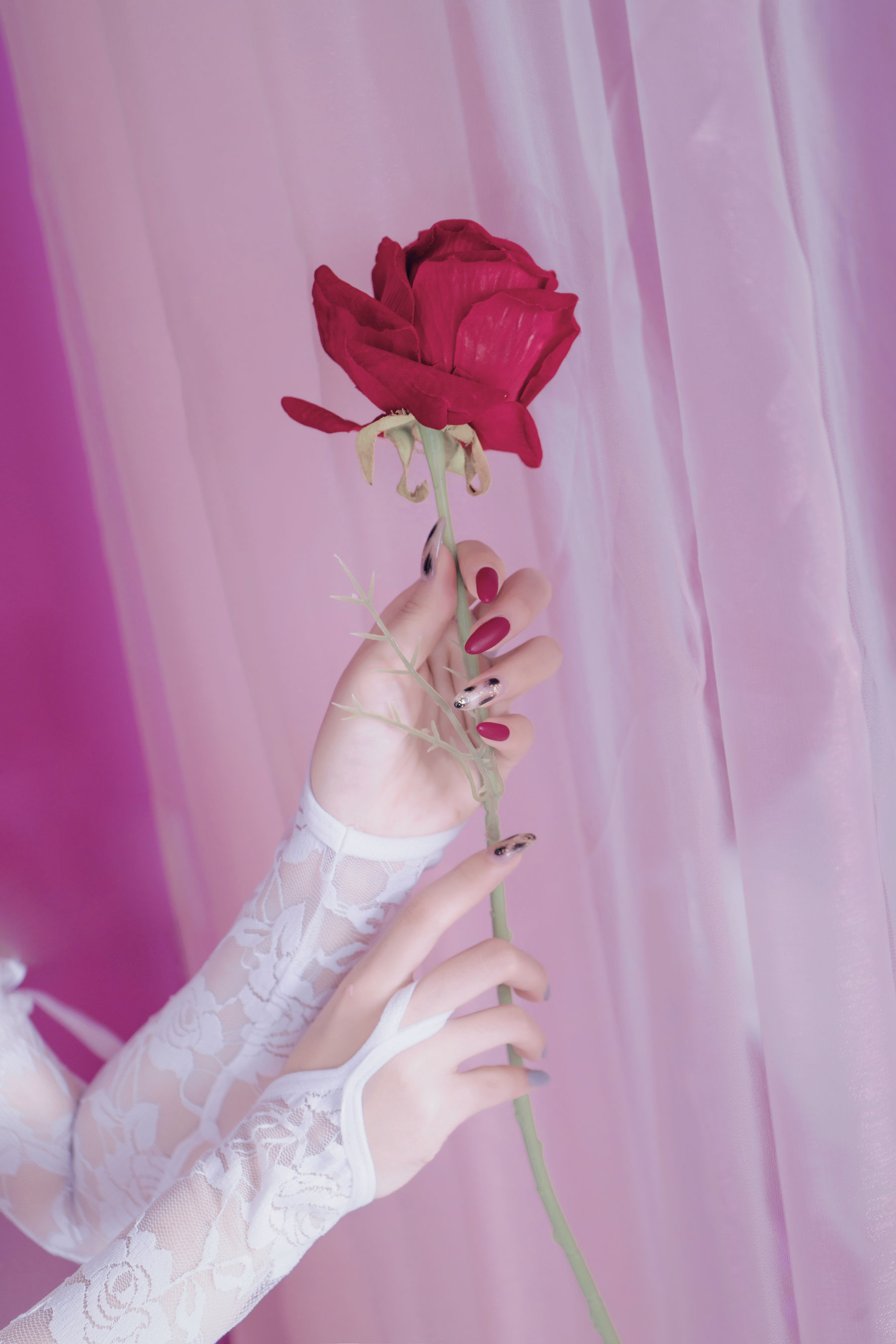 [福利COS] eloise软软 - 入水蕾丝第13张