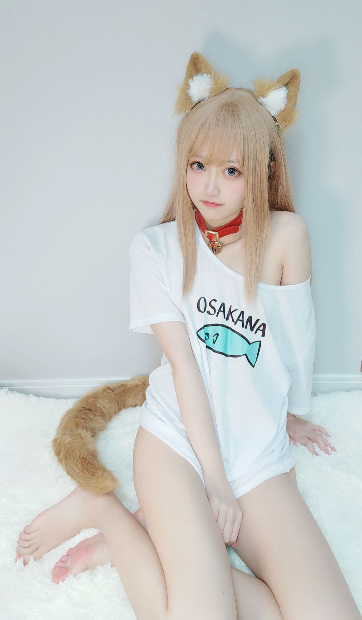 [福利COS] 千阳(ちよ) - 40原设猫猫第5张