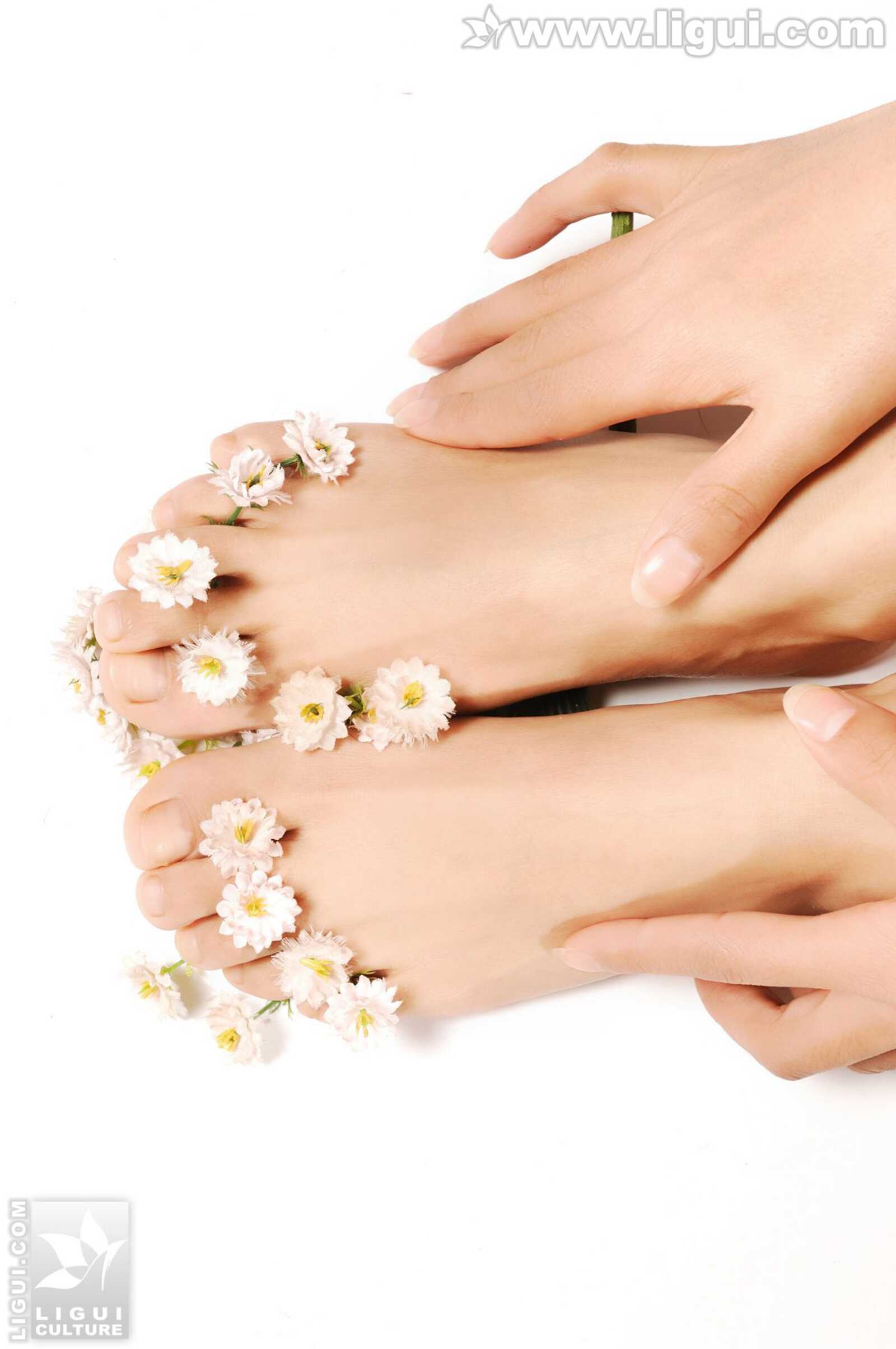 Model 凯咪《金粉世家贵足高跟》 [丽柜LiGui] 丝袜第1张