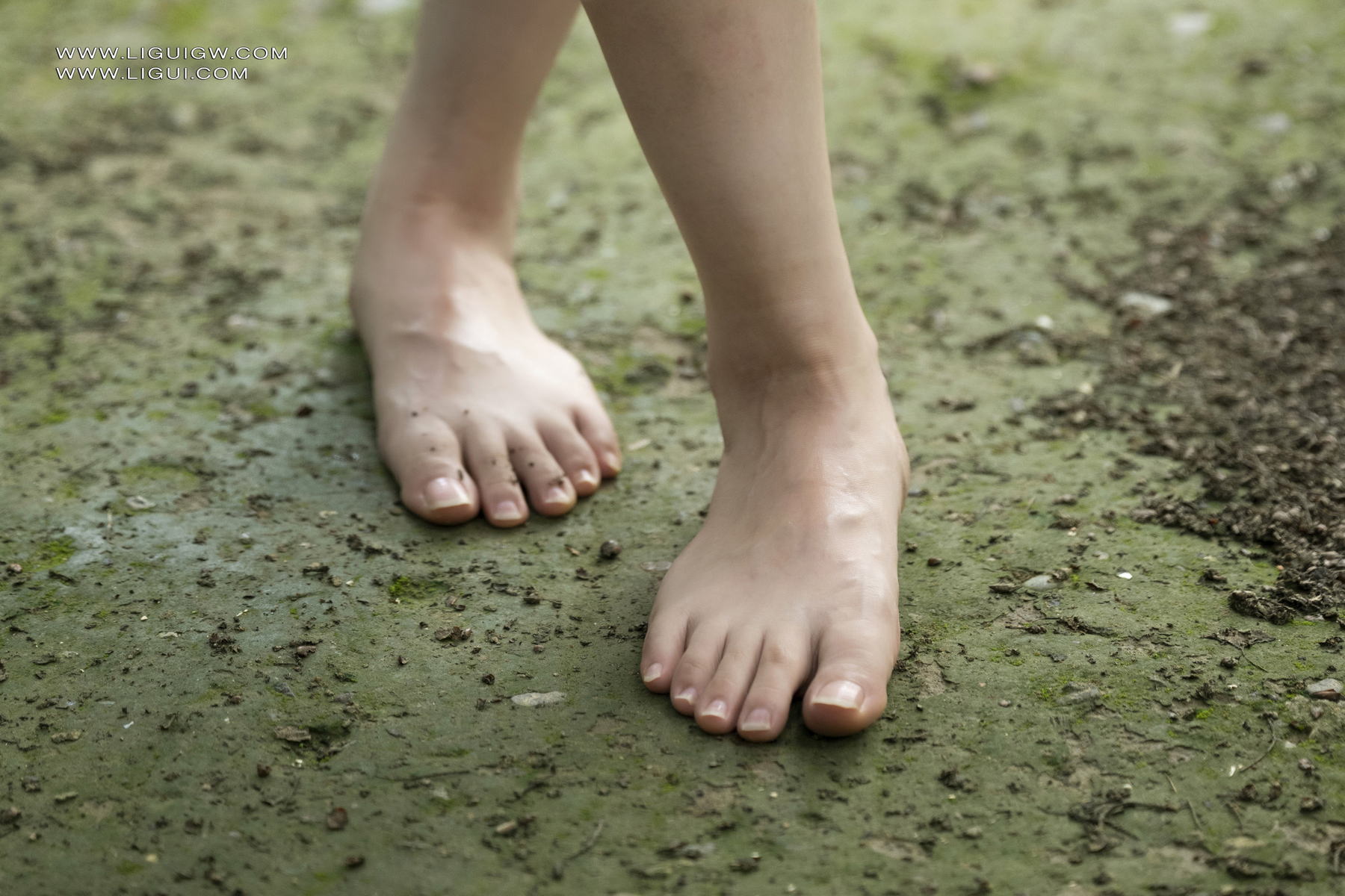 [Ligui丽柜] 2025.08.11 欲野玉足 Xiaomei第4张