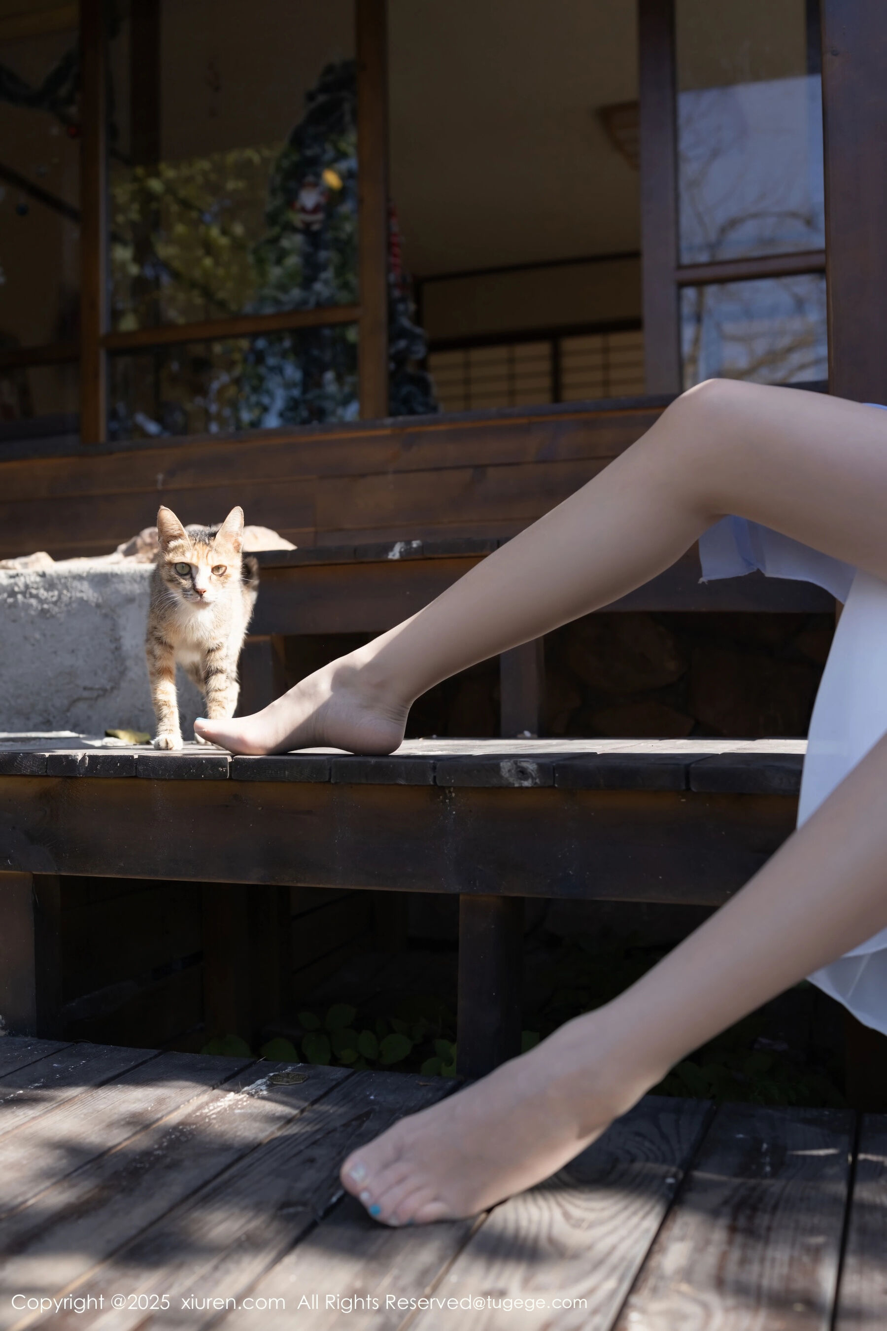  秀人网 安然anran Vol.11178 [74P]第25张