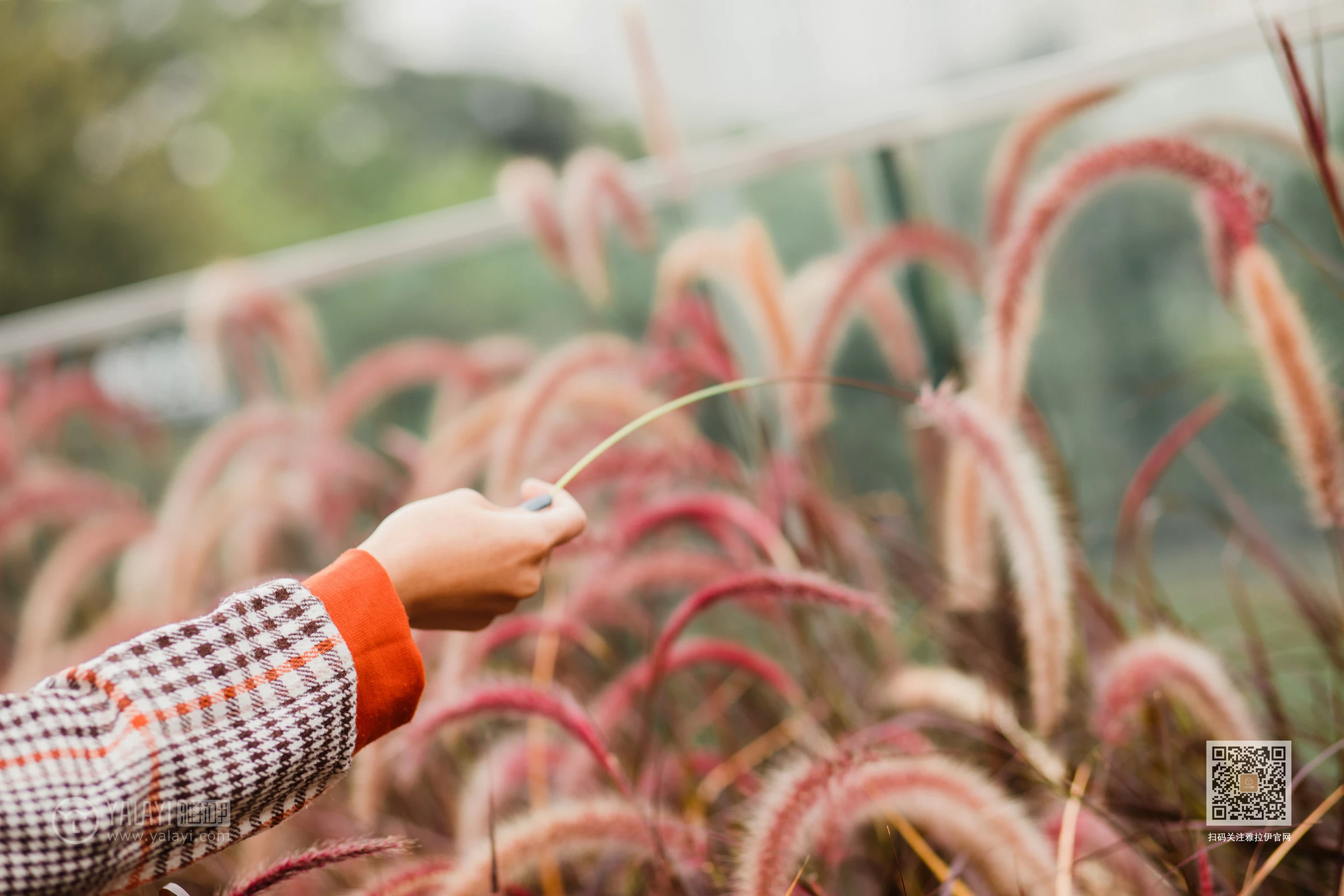 [YALAYI雅拉伊]Vol.543 郊游 小五 连身大衣加灰色长靴清纯私房写真集第2张