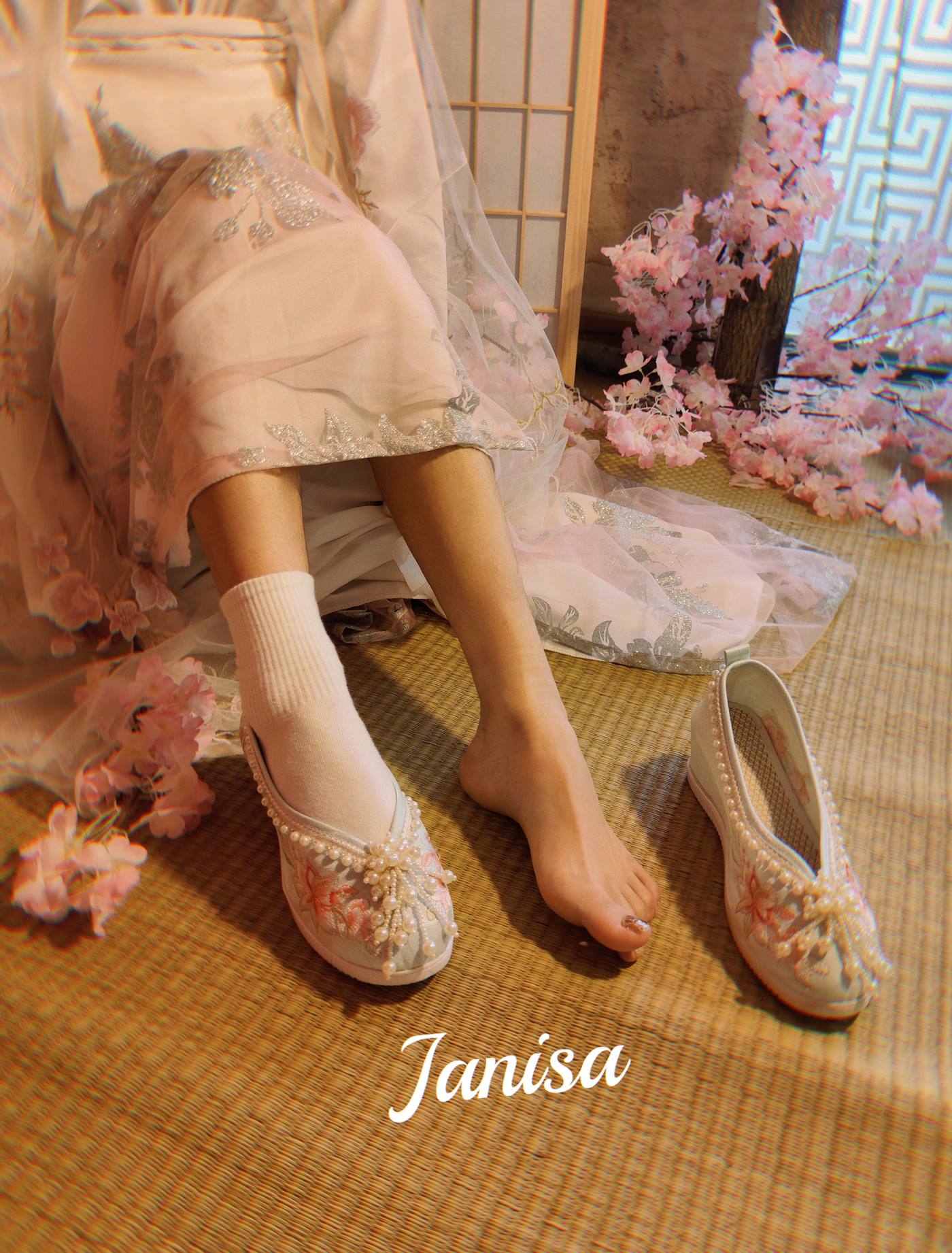 Janisa  朝花向晚 [22+1P]第3张